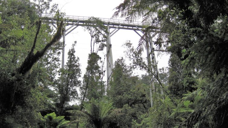Percy Burn Viaduct - South Coast Track