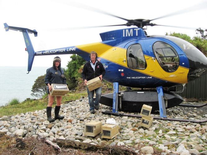 Pilot Dale Green and Joyce unloading stoat traps